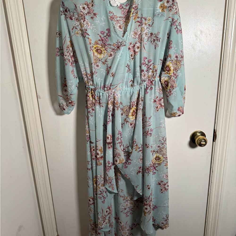 L.I.F.F. Floral Dress in Light Green
